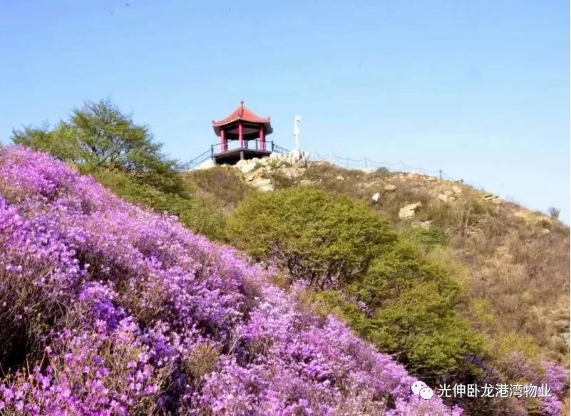 首页- bwin集团有限公司官网